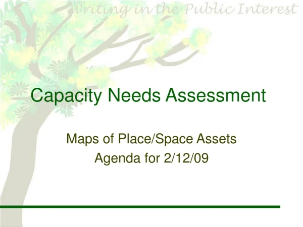 Capacity Needs Assessment