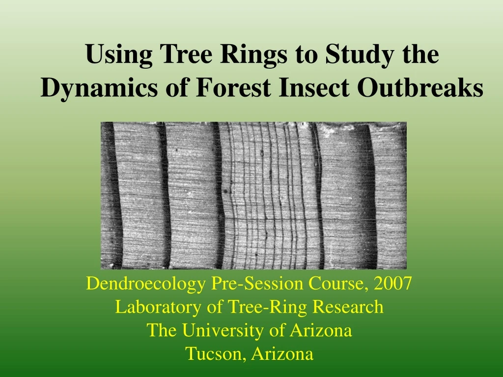 using tree rings to study the dynamics of forest