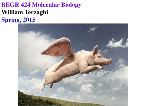 BEGR 424 Molecular Biology William Terzaghi Spring, 2015