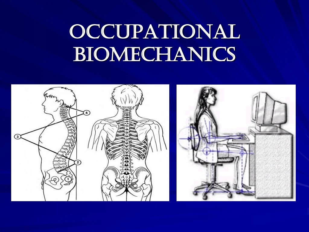 occupational biomechanics