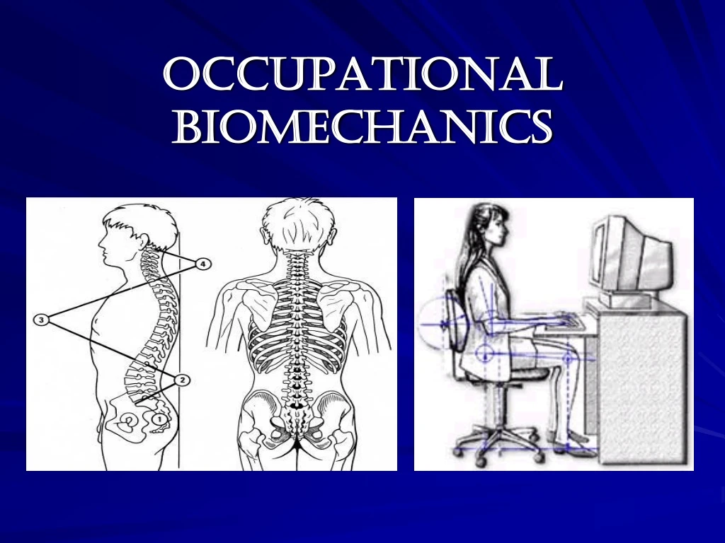 PPT - OCCUPATIONAL BIOMECHANICS PowerPoint Presentation, Free Download ...