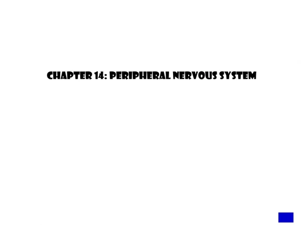 Chapter 14: Peripheral Nervous System