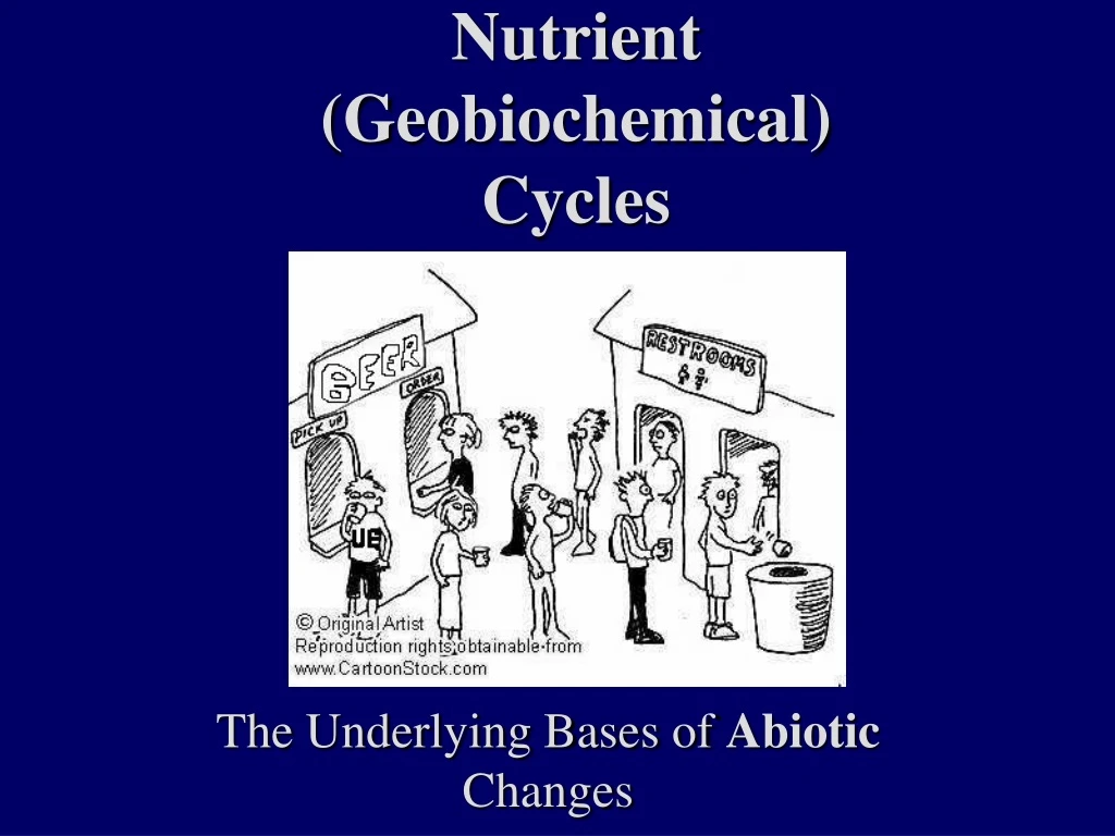 nutrient geobiochemical cycles