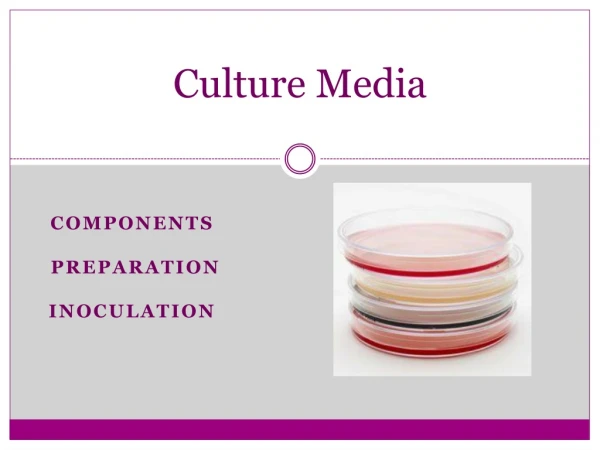 Culture Media