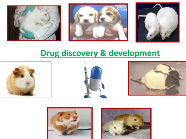 Drug discovery &amp; development