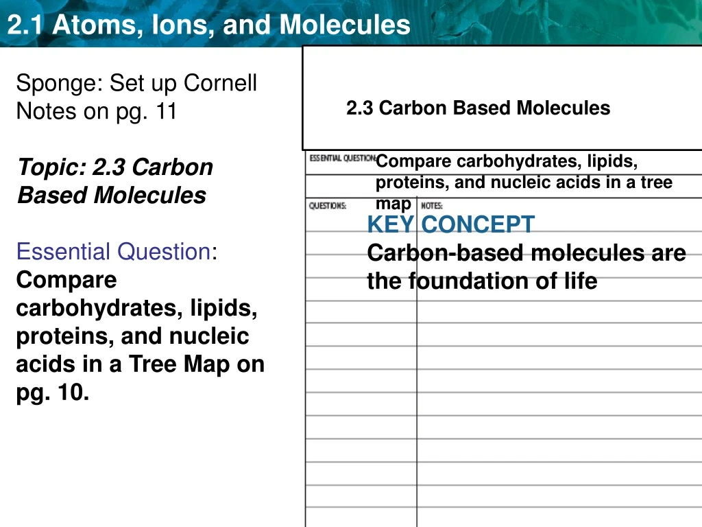 sponge set up cornell notes on pg 11 topic