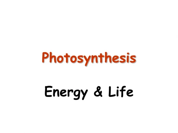 Photosynthesis