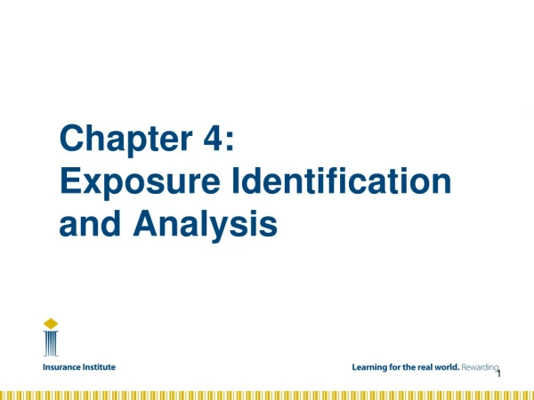 Chapter 4:  Exposure Identification and Analysis