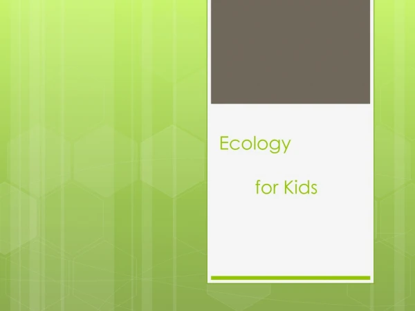 Ecology        for Kids