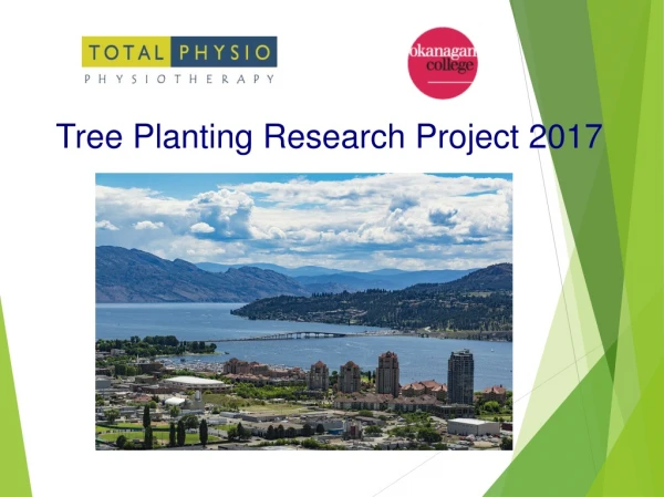 Tree Planting Research Project 2017