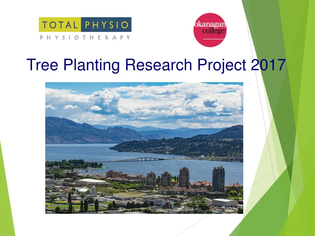 tree planting research project 2017