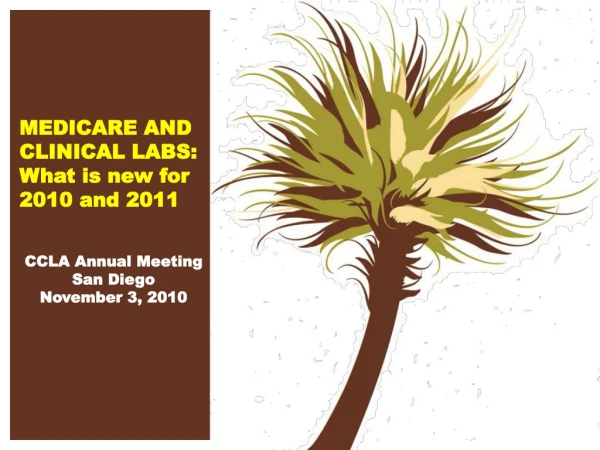MEDICARE AND CLINICAL LABS:  What is new for 2010 and 2011