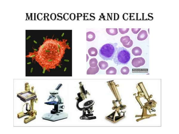 Microscopes and Cells