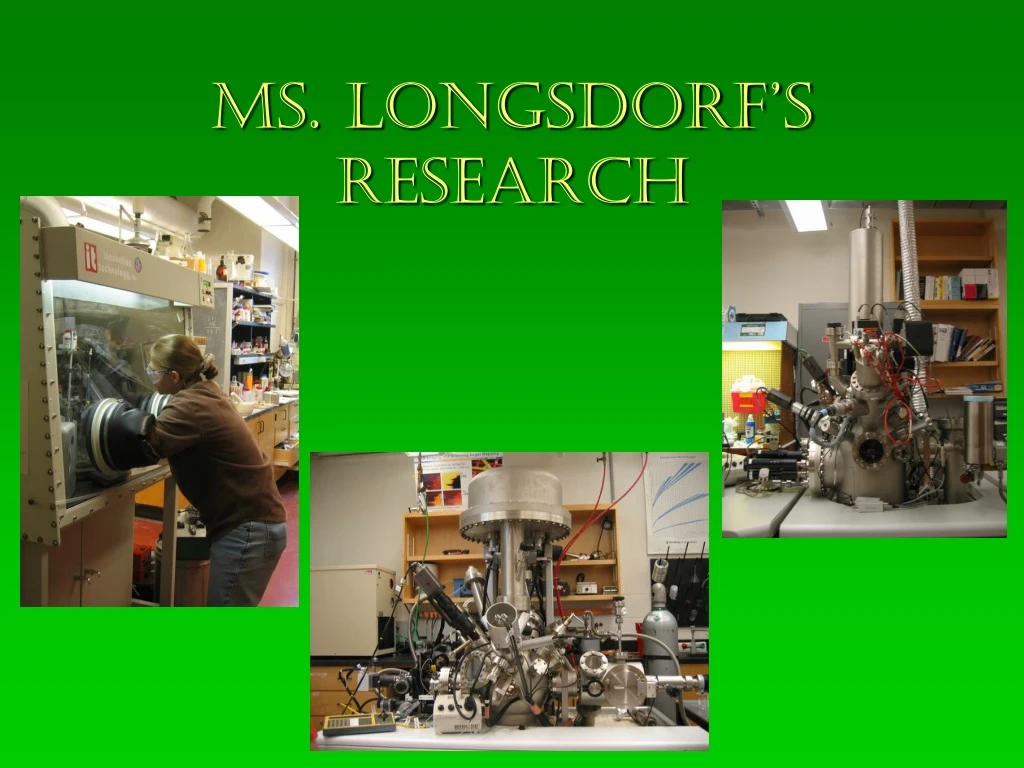 ms longsdorf s research