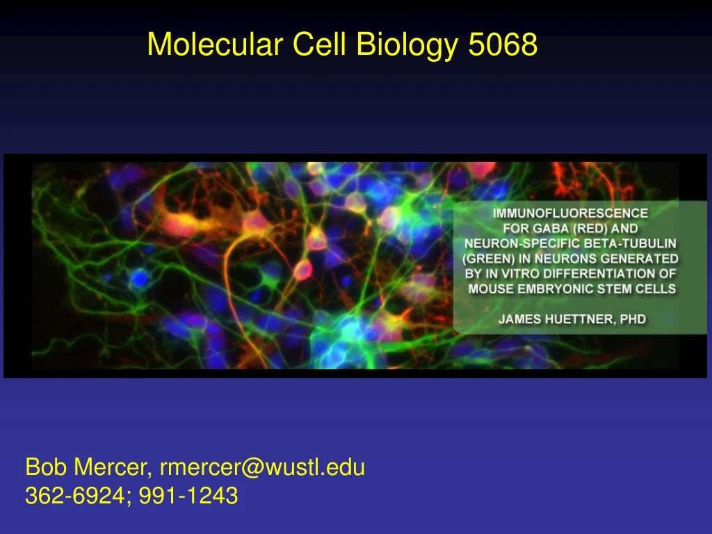 molecular cell biology 5068