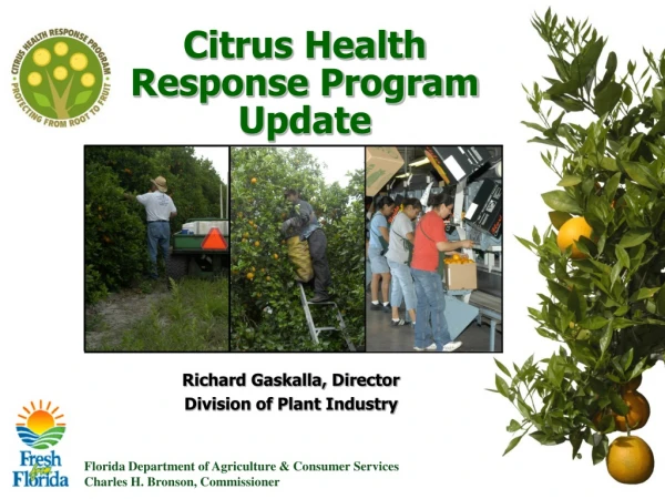 Citrus Health  Response Program Update