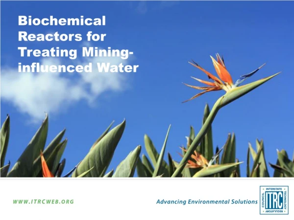 Biochemical Reactors for Treating Mining-influenced Water