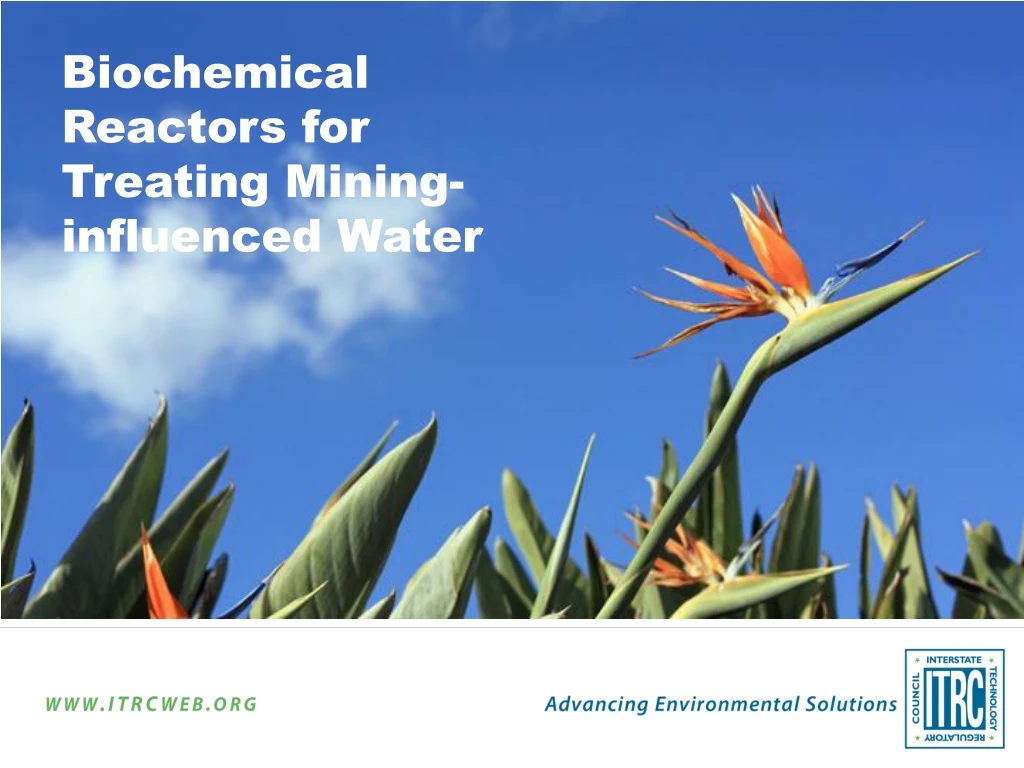 biochemical reactors for treating mining influenced water