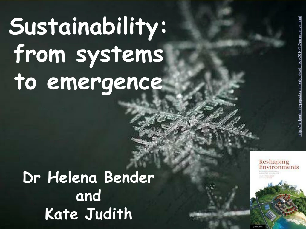 sustainability from systems to emergence dr helena bender and kate judith