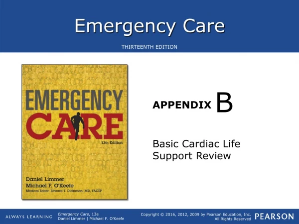 Basic Cardiac Life Support Review