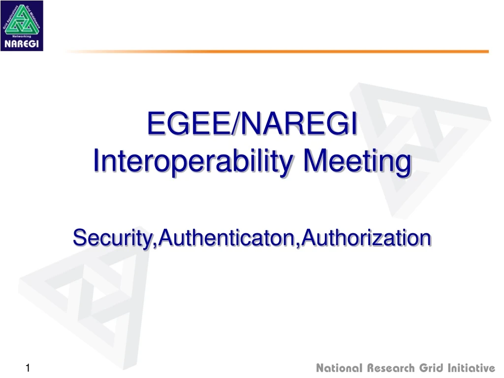 egee naregi interoperability meeting security
