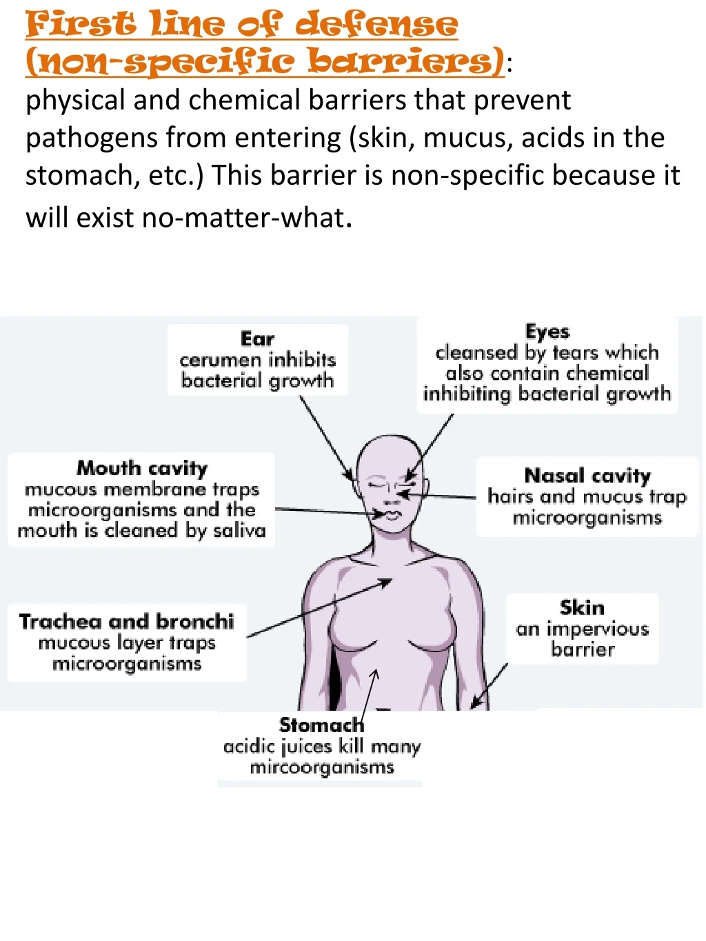 first line of defense non specific barriers