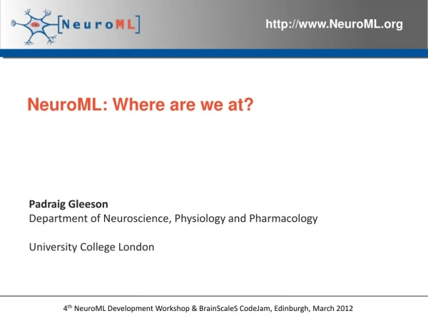 NeuroML: Where are we at?