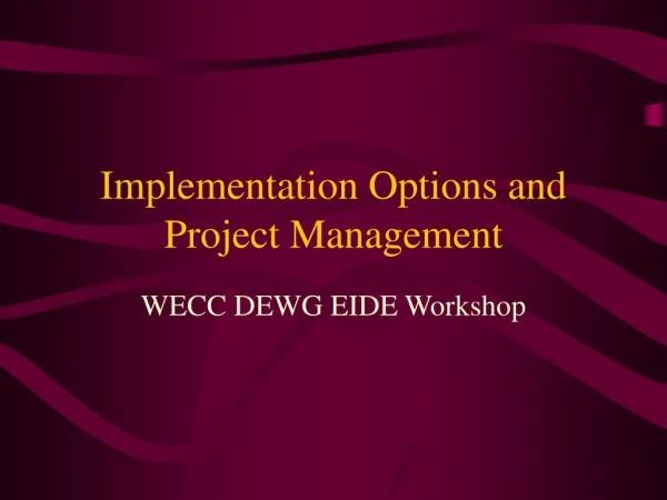 Implementation Options and Project Management