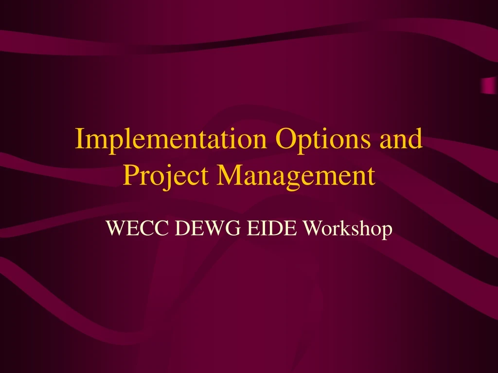 implementation options and project management