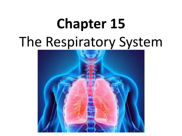 Chapter 15 The Respiratory System
