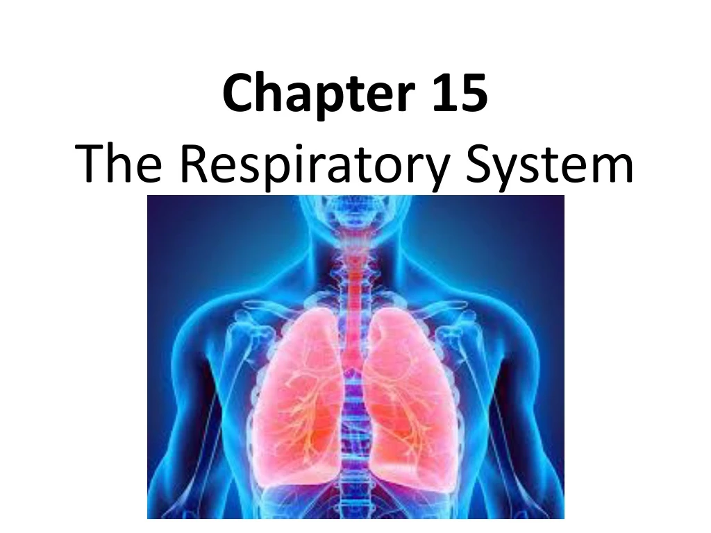 chapter 15 the respiratory system