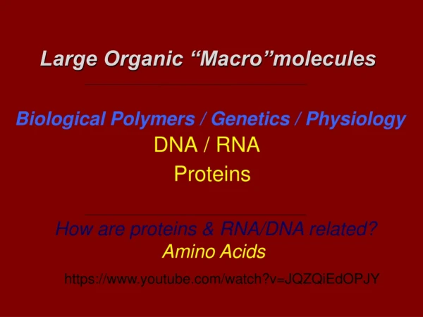 Biological Polymers / Genetics / Physiology DNA / RNA
