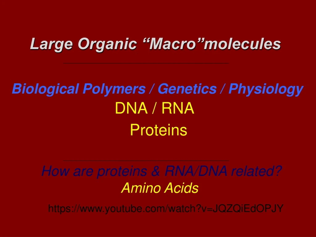 biological polymers genetics physiology dna rna