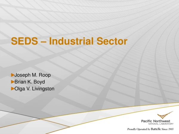 SEDS – Industrial Sector