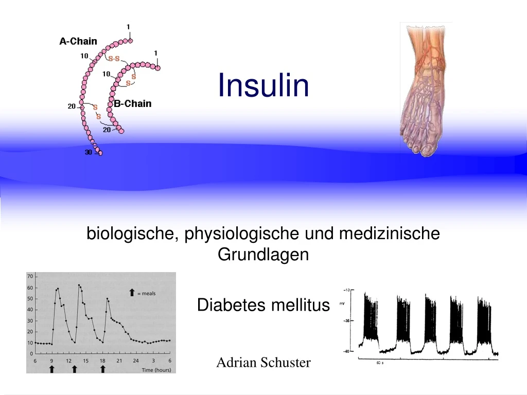 insulin