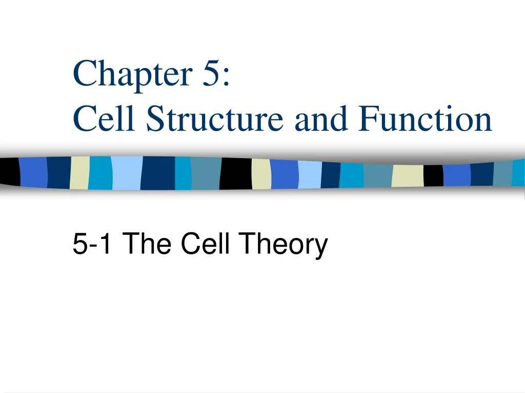 chapter 5 cell structure and function