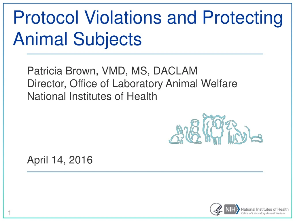 protocol violations and protecting animal subjects