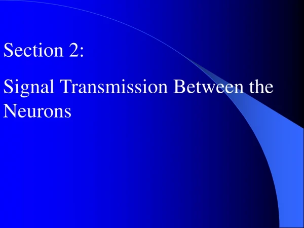 Section 2: Signal Transmission Between the Neurons