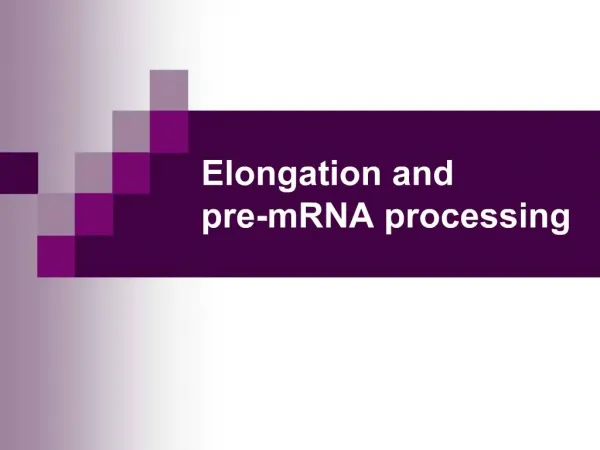 Elongation and pre-mRNA processing