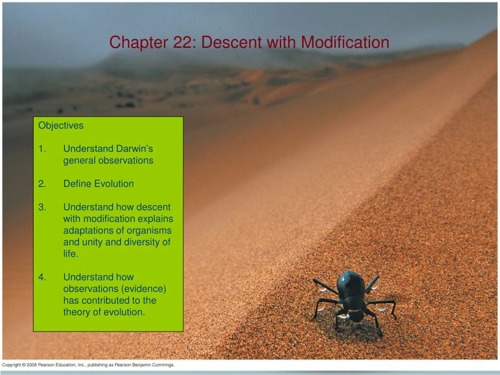 chapter 22 descent with modification