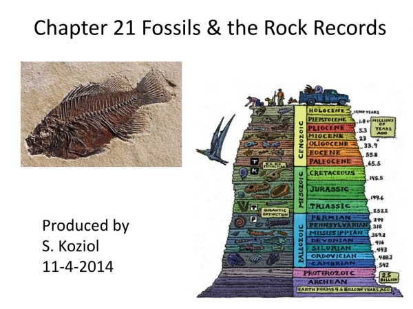 Chapter 21 Fossils &amp; the Rock Records