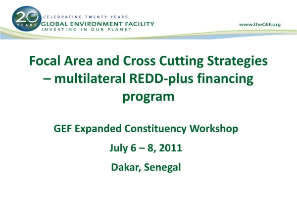 Focal Area and Cross Cutting Strategies – multilateral REDD-plus financing program