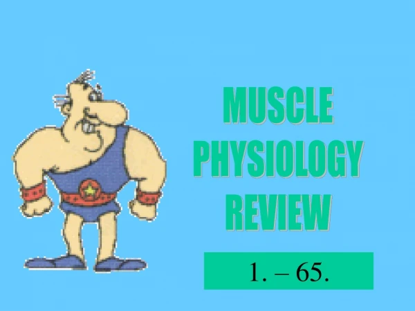 MUSCLE PHYSIOLOGY REVIEW