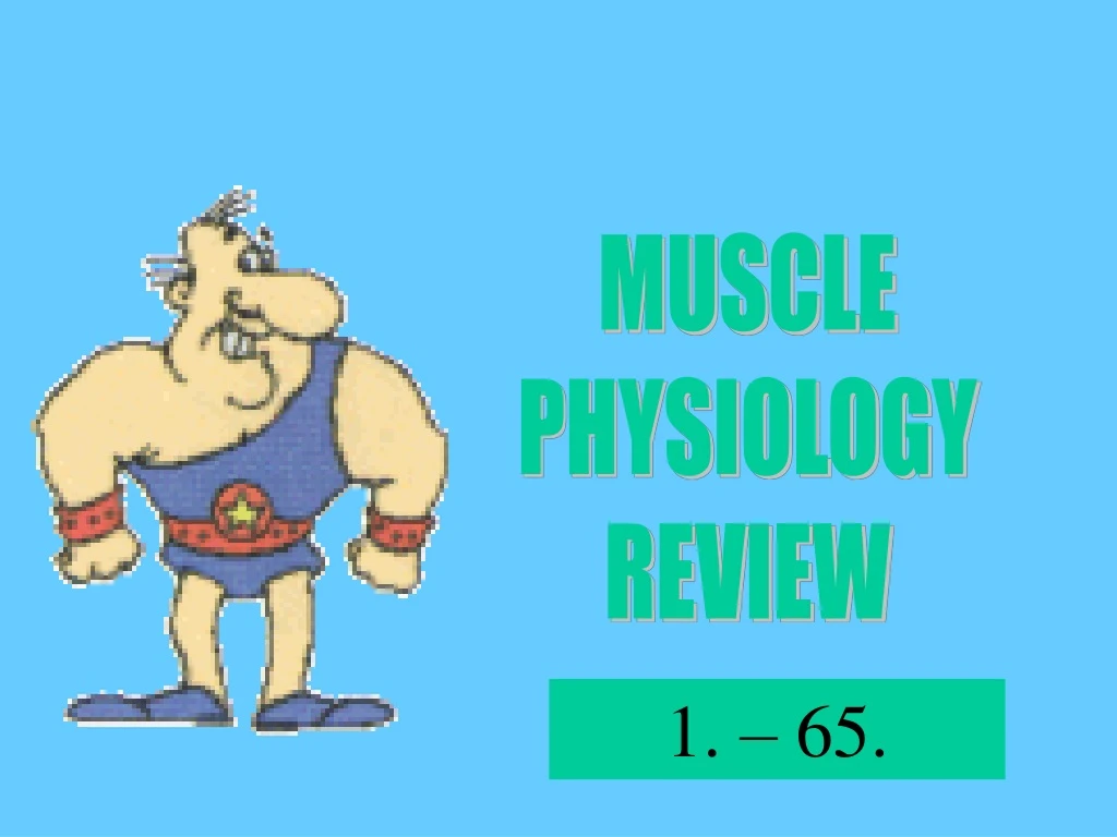 muscle physiology review