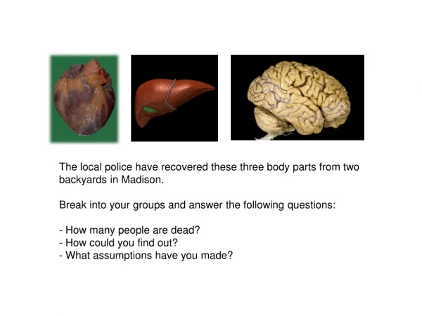 The local police have recovered these three body parts from two backyards in Madison.