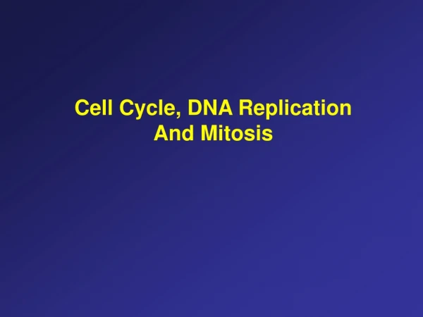 Cell Cycle, DNA Replication  And Mitosis