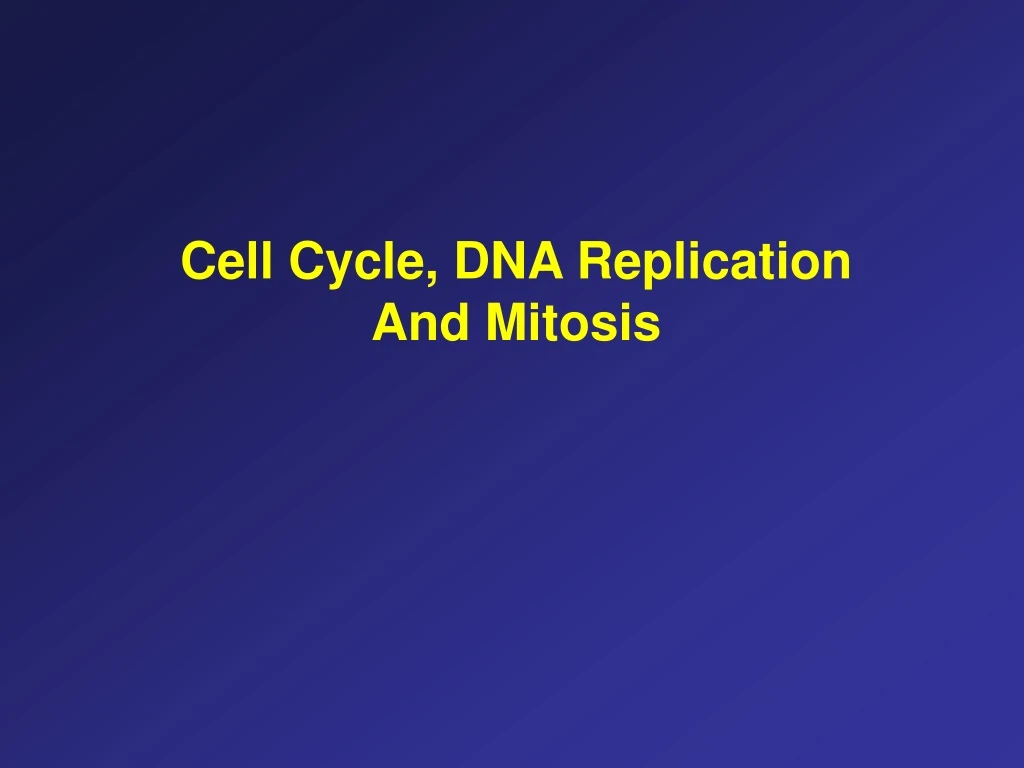 cell cycle dna replication and mitosis
