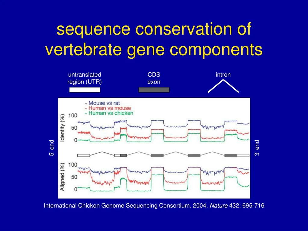 sequence conservation of vertebrate gene components