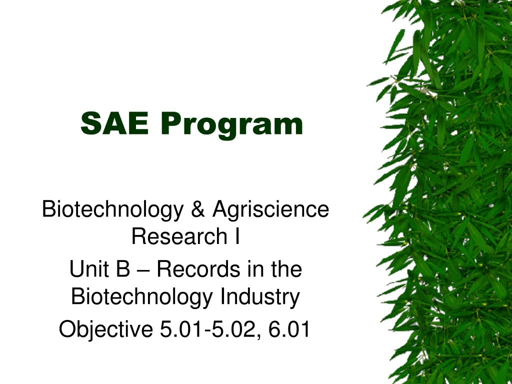 sae program