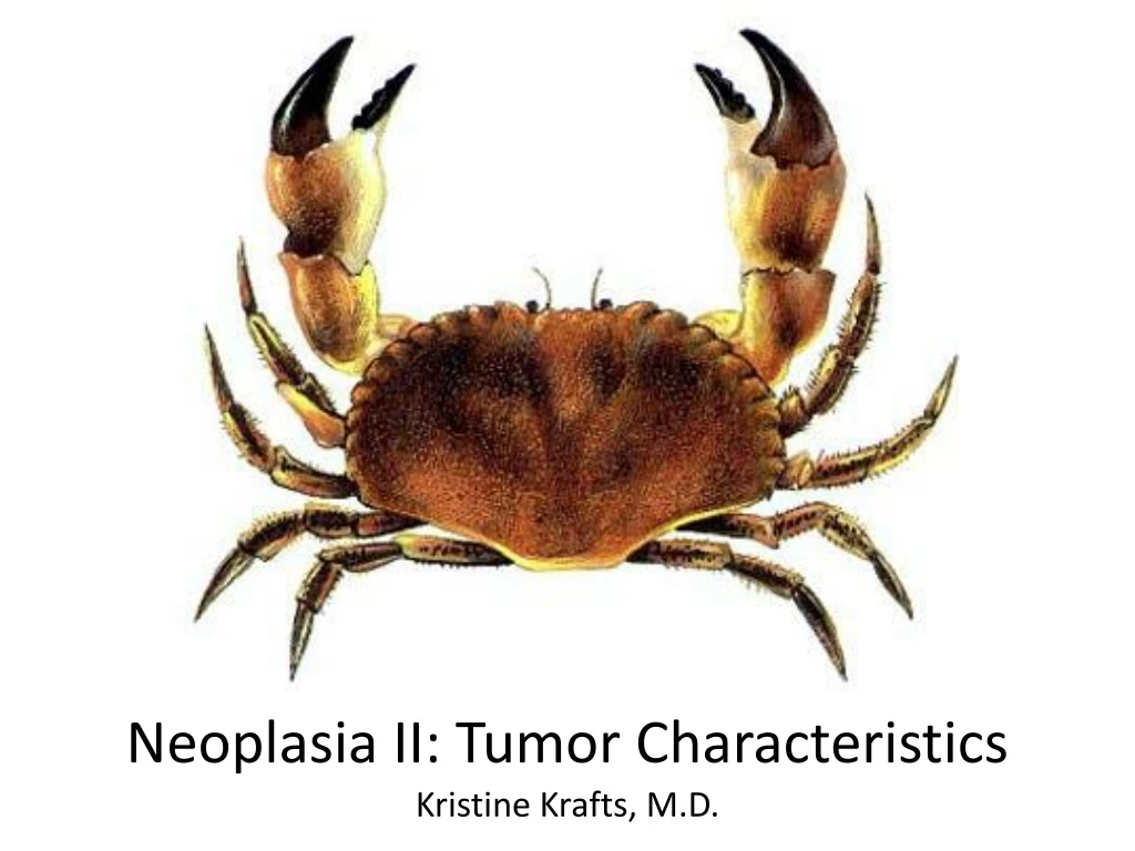 neoplasia ii tumor characteristics